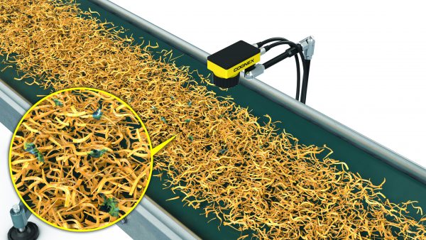 Yabancı Nesne Kontrolü